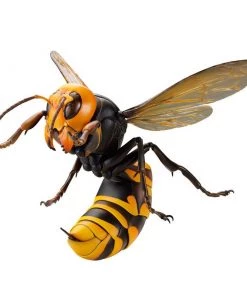 Revoltech RevoGeo No. 3 Japanese Giant Hornet (Reissue) Action Figure Kaiyodo Revoltech