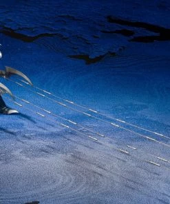 Bandai Bandai S.H. Monster Arts S.H. MonsterArts Gigan (2004) Great Decisive Battle Ver. "Godzilla Final Wars" Action Figure 12 Bandai Bandai S.H. Monster Arts S.H. MonsterArts Gigan (2004) Great Decisive Battle Ver.