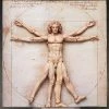 Max Factory **Pre Order**figma The Table Museum Vitruvian Man (2nd Re-run) Action Figure