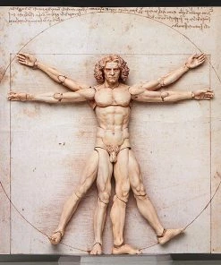 Max Factory **Pre Order**figma The Table Museum Vitruvian Man (2nd Re-run) Action Figure